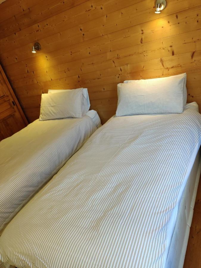 Spacious Ski Chalet In Traditional French Village, Sleeps 8, Four Star With Fibre Broadband Abondance Eksteriør bilde